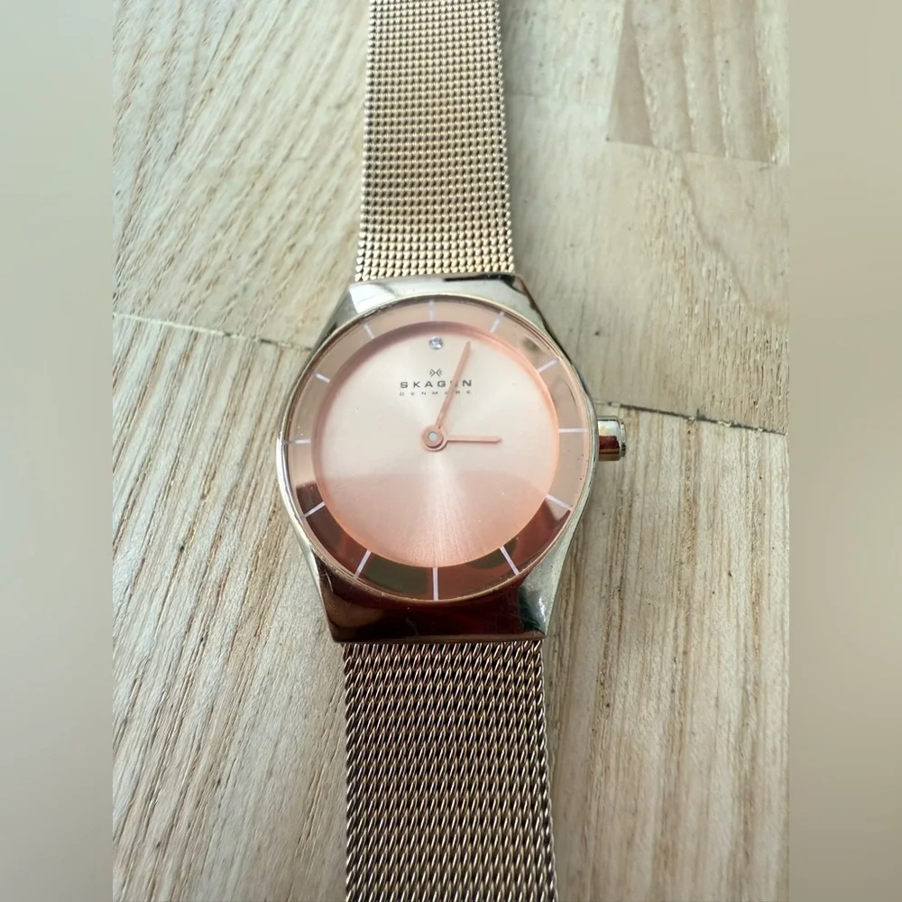 Skagen brand model